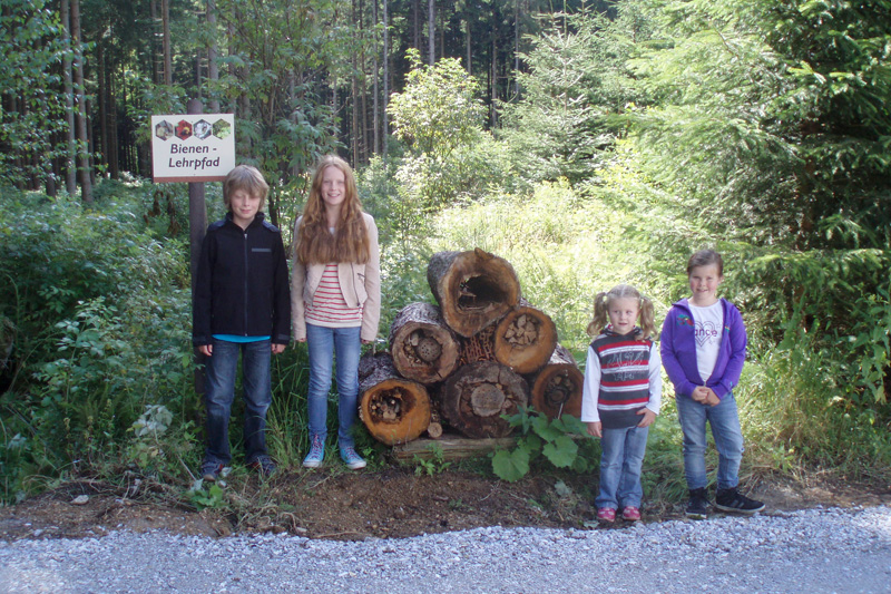 Kinder im Wald