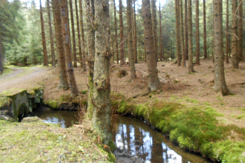 Kremstalwwanderweg