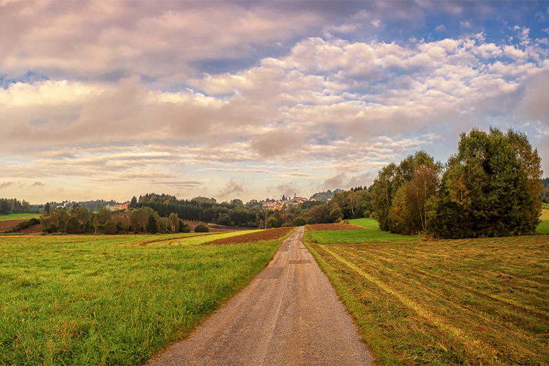 Landschaft mit Weg